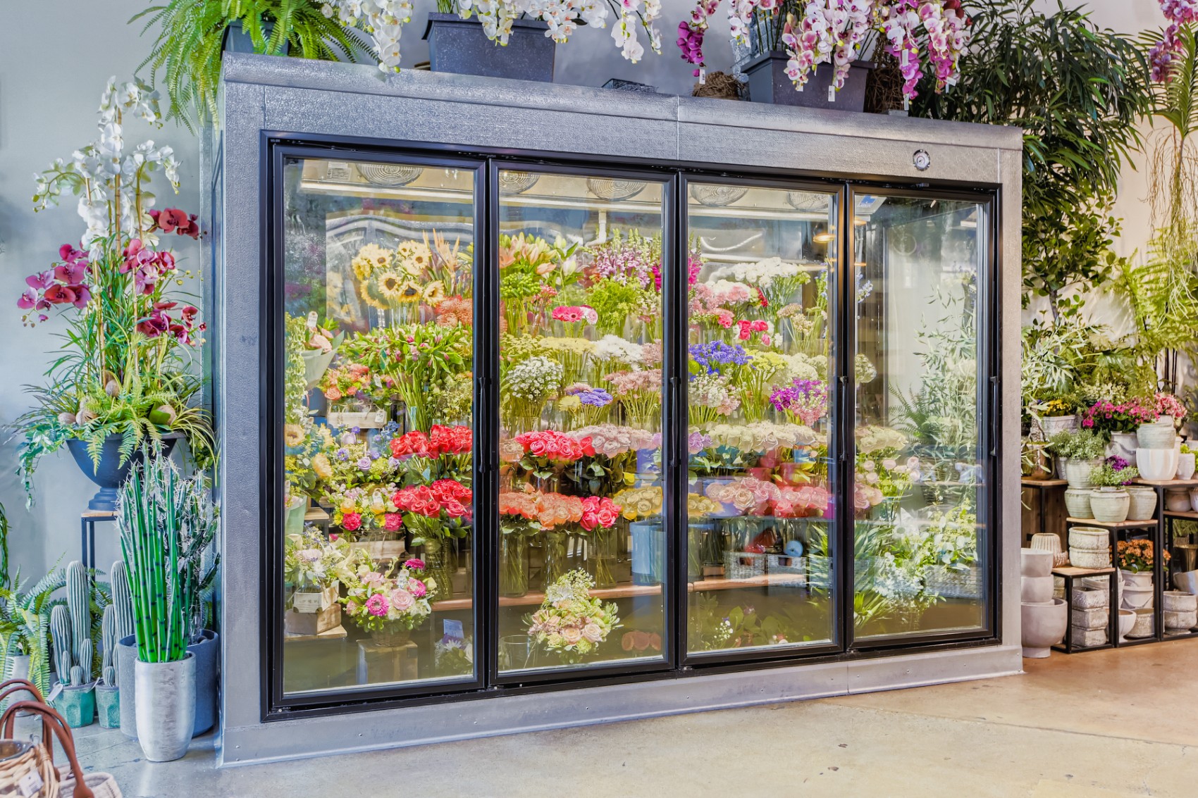 The Meaning Behind Popular Flowers